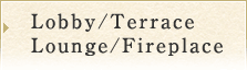 Lobby/Terrace/Lounge/Fireplace